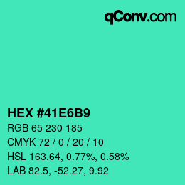 Color code: HEX #41E6B9 | qconv.com