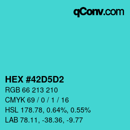 Color code: HEX #42D5D2 | qconv.com