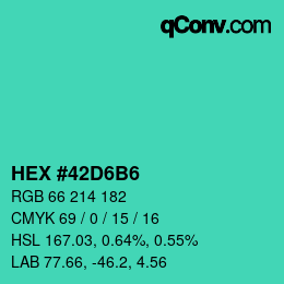 Color code: HEX #42D6B6 | qconv.com