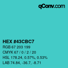 Color code: HEX #43CBC7 | qconv.com