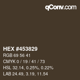 Color code: HEX #453829 | qconv.com