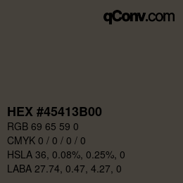 Color code: HEX #45413B00 | qconv.com