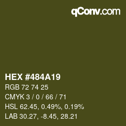Código de color: HEX #484A19 | qconv.com