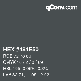 Color code: HEX #484E50 | qconv.com