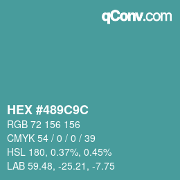 Color code: HEX #489C9C | qconv.com