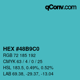 Color code: HEX #48B9C0 | qconv.com
