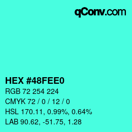 Color code: HEX #48FEE0 | qconv.com