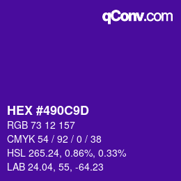 Color code: HEX #490C9D | qconv.com