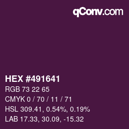 颜色代码: HEX #491641 | qconv.com