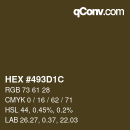 Farbcode: HEX #493D1C | qconv.com