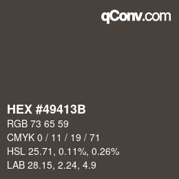 Código de color: HEX #49413B | qconv.com