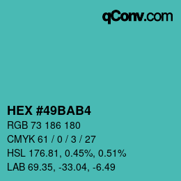 Color code: HEX #49BAB4 | qconv.com