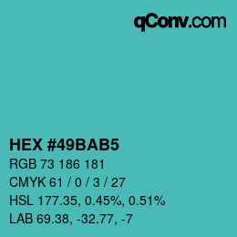 Color code: HEX #49BAB5 | qconv.com