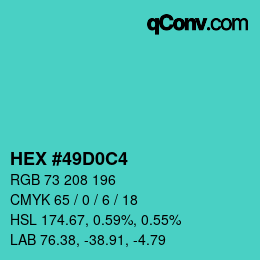 Color code: HEX #49D0C4 | qconv.com