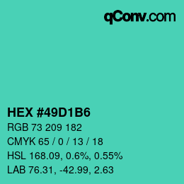 Color code: HEX #49D1B6 | qconv.com