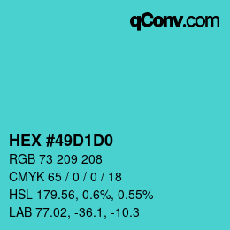 Color code: HEX #49D1D0 | qconv.com