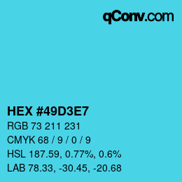 Color code: HEX #49D3E7 | qconv.com