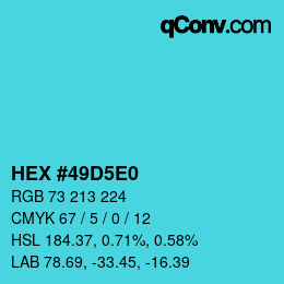 Color code: HEX #49D5E0 | qconv.com