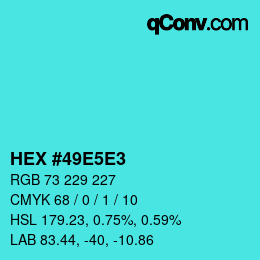 Color code: HEX #49E5E3 | qconv.com