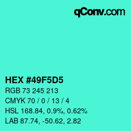 Color code: HEX #49F5D5 | qconv.com