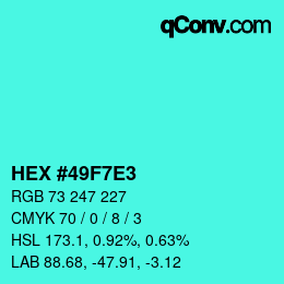 Color code: HEX #49F7E3 | qconv.com