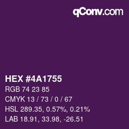 Código de color: HEX #4A1755 | qconv.com
