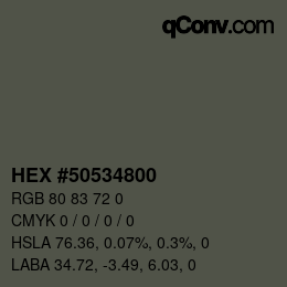 Color code: HEX #50534800 | qconv.com