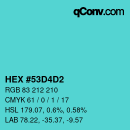 Color code: HEX #53D4D2 | qconv.com