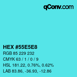 Color code: HEX #55E5E8 | qconv.com