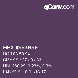 Código de color: HEX #563B5E | qconv.com