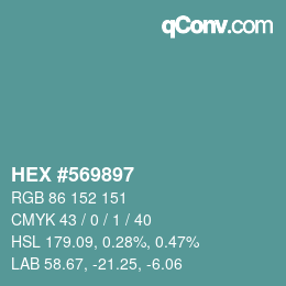 Color code: HEX #569897 | qconv.com