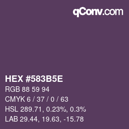 Código de color: HEX #583B5E | qconv.com