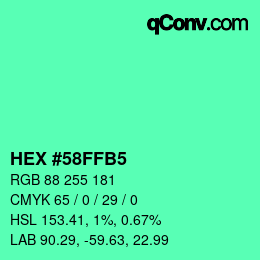 Color code: HEX #58FFB5 | qconv.com