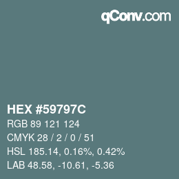 カラーコード: HEX #59797C | qconv.com