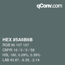 Color code: HEX #5A6B6B | qconv.com