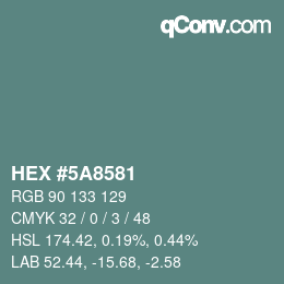 Color code: HEX #5A8581 | qconv.com