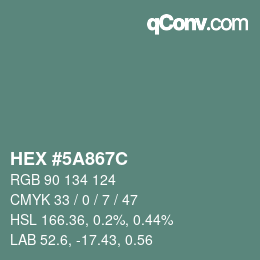Color code: HEX #5A867C | qconv.com
