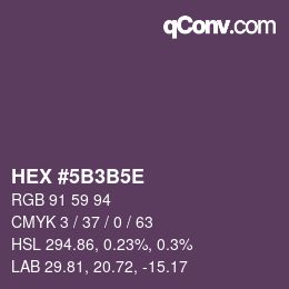 Color code: HEX #5B3B5E | qconv.com