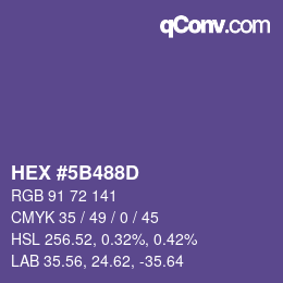 Color code: HEX #5B488D | qconv.com