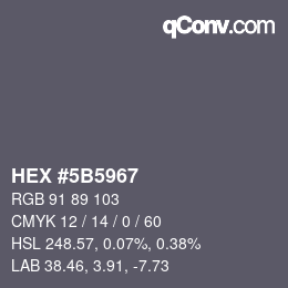Color code: HEX #5B5967 | qconv.com