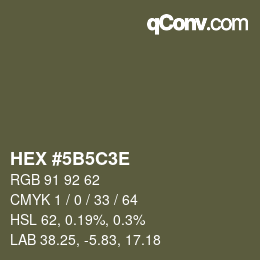 Color code: HEX #5B5C3E | qconv.com