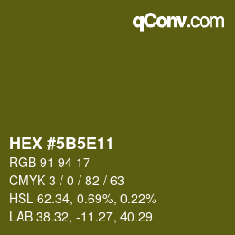 Color code: HEX #5B5E11 | qconv.com