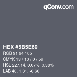 Color code: HEX #5B5E69 | qconv.com