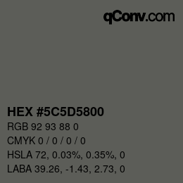 Color code: HEX #5C5D5800 | qconv.com