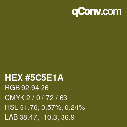 Color code: HEX #5C5E1A | qconv.com