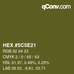 Color code: HEX #5C5E21 | qconv.com