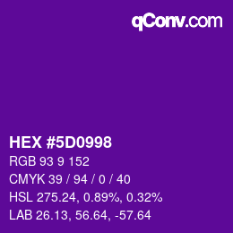 Color code: HEX #5D0998 | qconv.com