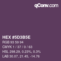 Color code: HEX #5D3B5E | qconv.com