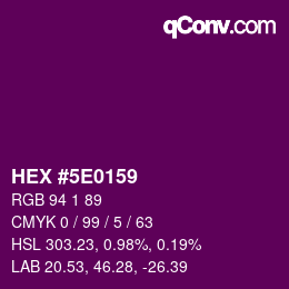 Color code: HEX #5E0159 | qconv.com