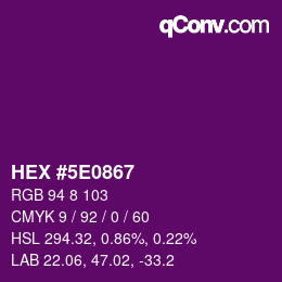 Color code: HEX #5E0867 | qconv.com